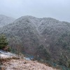 朝は雪