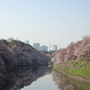 今朝は九段下駅で下車して桜を撮影して来ました