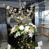 桜咲く