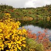 紅葉🍁の八幡平を歩く👣