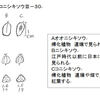 コニシキソウとオオニシキソウ