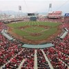 「マツダスタジアムでサンフレッチェ広島の試合を」という提案