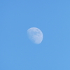 年寄りの戯言201　今日の月（１月２日〜）追記７日ウルフムーン　今年最初の満月です