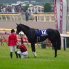 競馬と保守主義は並び立つのか？