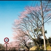 【フィルム】カラー〝ファイナル〟への記録… Vol.3