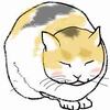 糞の臭いと日常の戦い＆飼い猫と野良猫の境界