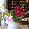 今日も暑かった