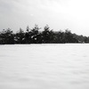  街はすっぽり雪に覆われているけど　やっぱり冬は　雪景色