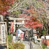 熊野若王子神社の紅葉、見頃や現在の状況。