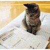 教師になろうとする人は新聞を読むべきだということ