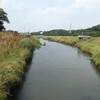 久々の大宮公園コンプリ―ト②第三公園みぬまの沼の鳥たち