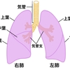 婦人科検査で肺にデキモノ発見！治療開始だけど不安と恐怖で初診の内容が入ってこない