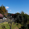 石仏　馬頭観音　住久保　中馬街道