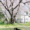 そらの話
