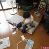 うたちゃん日記♪2024/6/3♪カメとおうちでシャチのショー