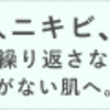 【PR】おとなニキビ