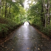 雨の紅葉「欲」ラン