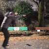 「逆立ちしても勝てない」は本当？逆立ちで能力が上がるか検証！