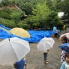 7月6日、雨の日散歩