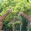 休日は、子供たちと埼玉県こども動物自然公園へ( ¨̮⋆)