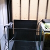 「25cmキューブ水槽」アピストのための新水槽立ち上げ！！
