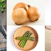 善玉菌を元気にするヤツ