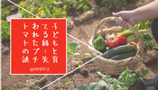 子どもと育てる緑 - 失われたプチトマトの謎