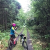 2021/8/21 雨の増川林道