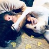 お手‼