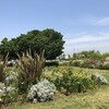 5月のまとめ　（2019-W18〜W22）