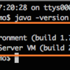 JavaSE7 Update51で、JavaDB(derby)がNetBeansで起動できない場合の対処法メモ