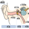 耳鳴り・難聴は専門医の治療法で改善｜耳鳴り・難聴はなぜ起こるのか？-１