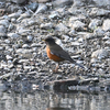 野鳥公園散歩