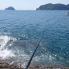 ５月の米水津でクロ釣り