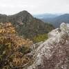 2025年3月12日(水)　[多紀連山]鏡峠、佐仲峠から、黒頭峰、夏栗山を歩く！