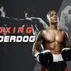「The Thrill of the Fight 2」を超えた？Meta Quest期待の新作「Boxing Underdog」最速レビュー