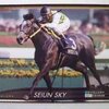 ぼくを魅了した競走馬ベスト5をお伝えするよ