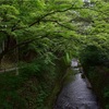 京都に行って来ました（２０２３年６月）