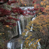 袋田の滝ともみじ寺