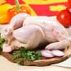 Tips Memilis Supplier Ayam Berkualitas Tinggi