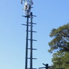 　３０年振りの若宮神社「竹ん芸」。