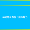 神秘的な存在：狼の魅力