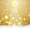 我が家のクリスマス2024