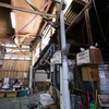南の島の市場猫2017盛夏4。