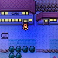 ポケモン金銀 ニビシティでにじいろのはね ぎんいろのはねを入手しよう 攻略日記 くろねこの暇つぶしブログ