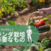 【家庭菜園１年生】　経験なしの初心者が、ベランダで野菜を育てるために必要なことは？