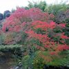 20年秋あさば　朝食