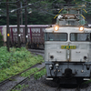 2024/07/14 4093レ EF81 303号機