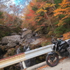 紅葉を求めて　瀬戸川渓谷～稲叢ダムツーリング