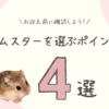ハムスターの選び方は？種類や入手先、元気な子の見極め方
